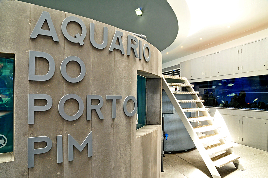 Aquario do Porto Pim 1 - cmh