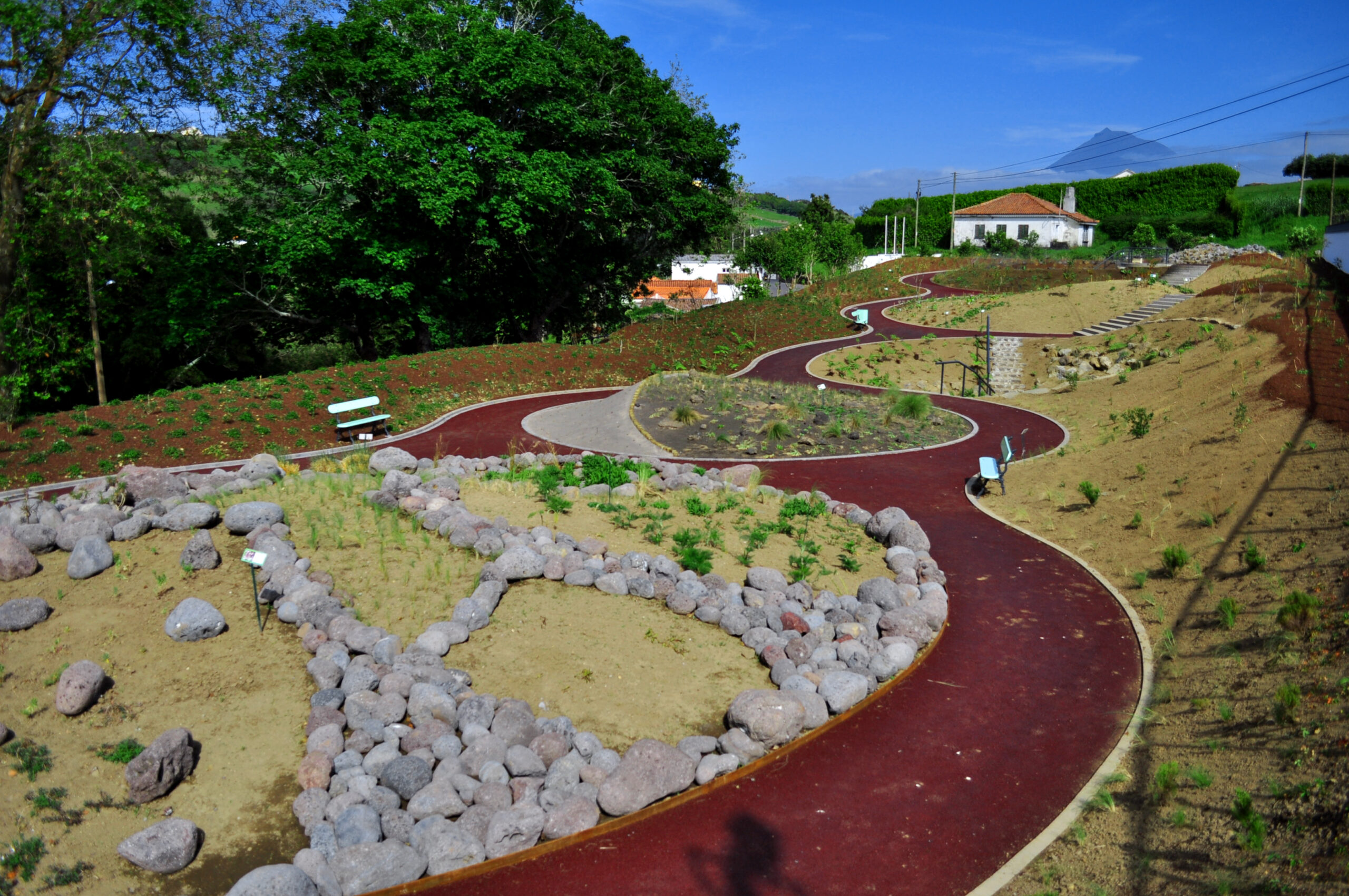 Jardim Botanico do Faial 1 - cmh