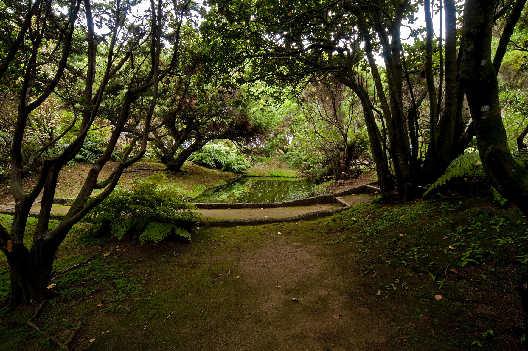 Jardim Botanico do Faial 2 - cmh